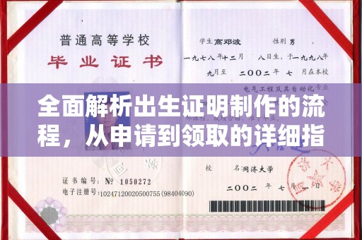 埌东全面解析出生证明制作的流程，从申请到领取的详细指南