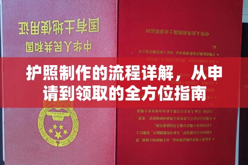 埌东护照制作的流程详解，从申请到领取的全方位指南